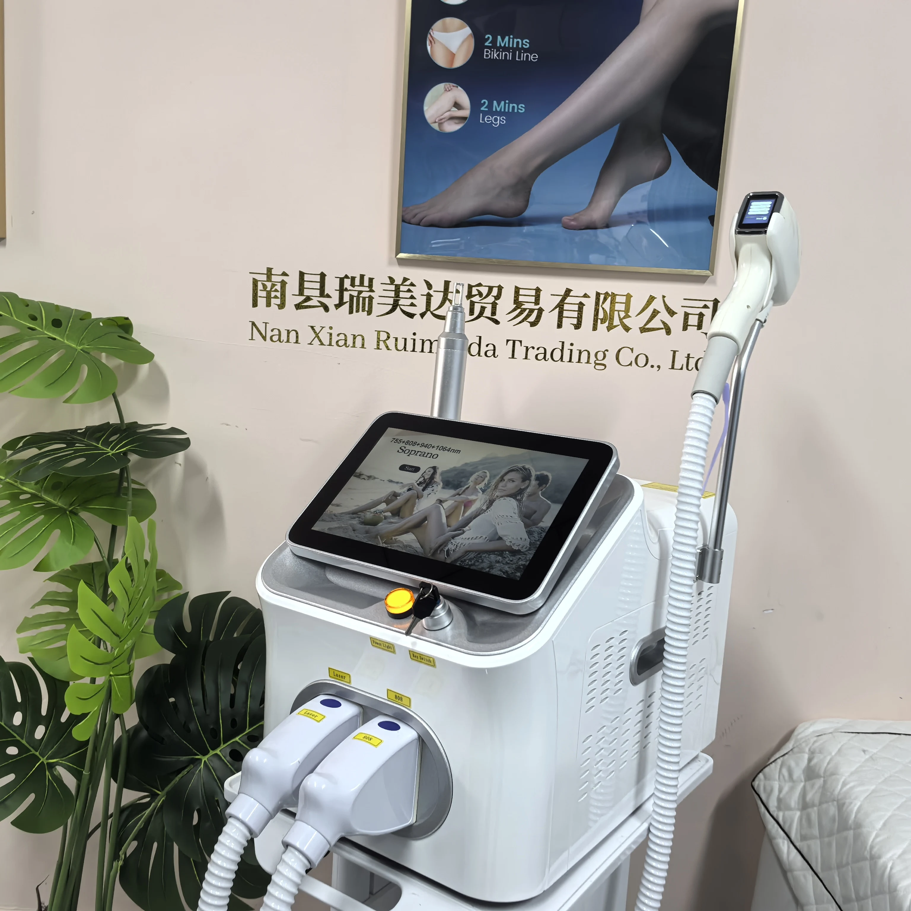 Professional 2IN1 Diode Laser  - Nd Yag Laser Tattoo Removal Machine 评论和价格