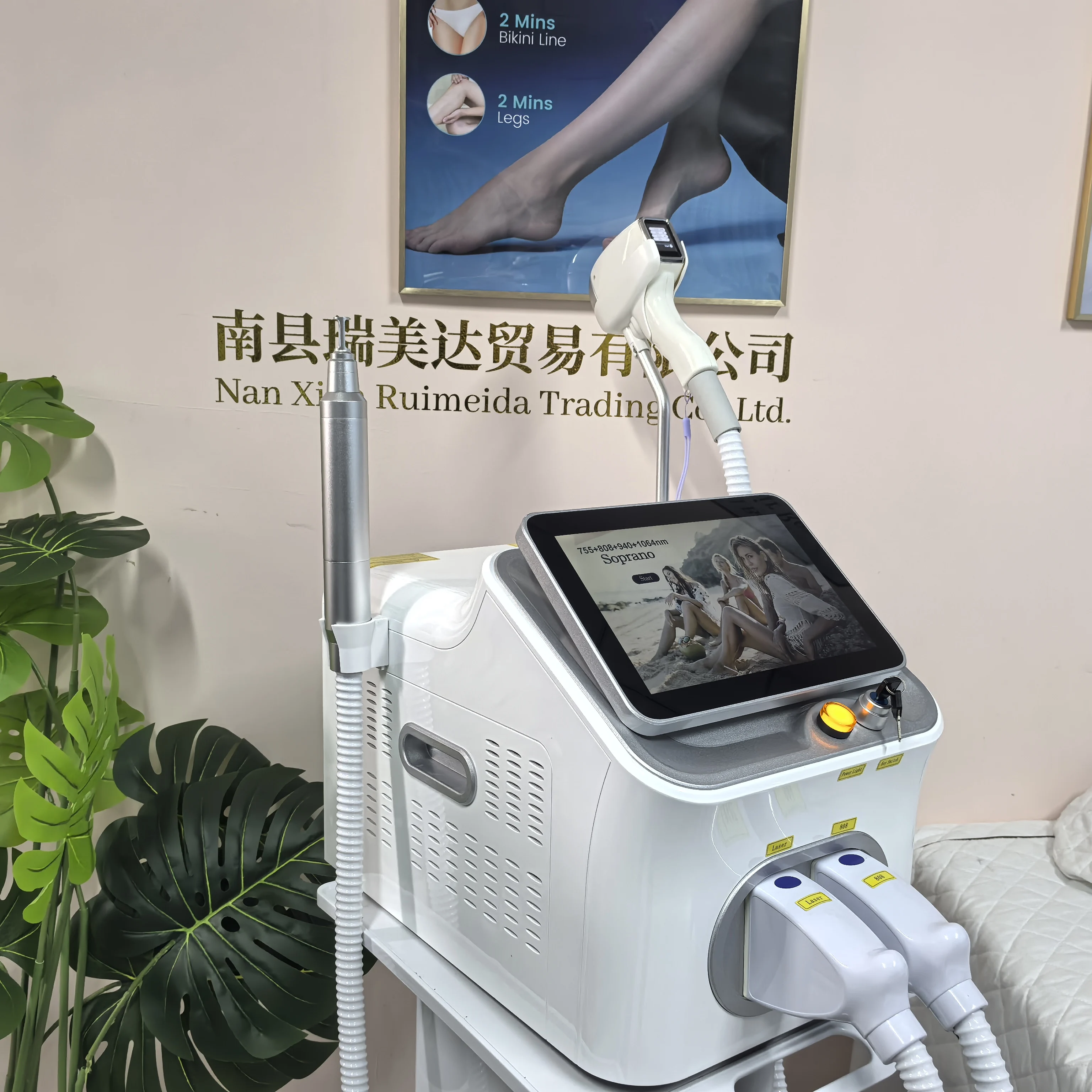 Professional 2IN1 Diode Laser  - Nd Yag Laser Tattoo Removal Machine 评论和价格