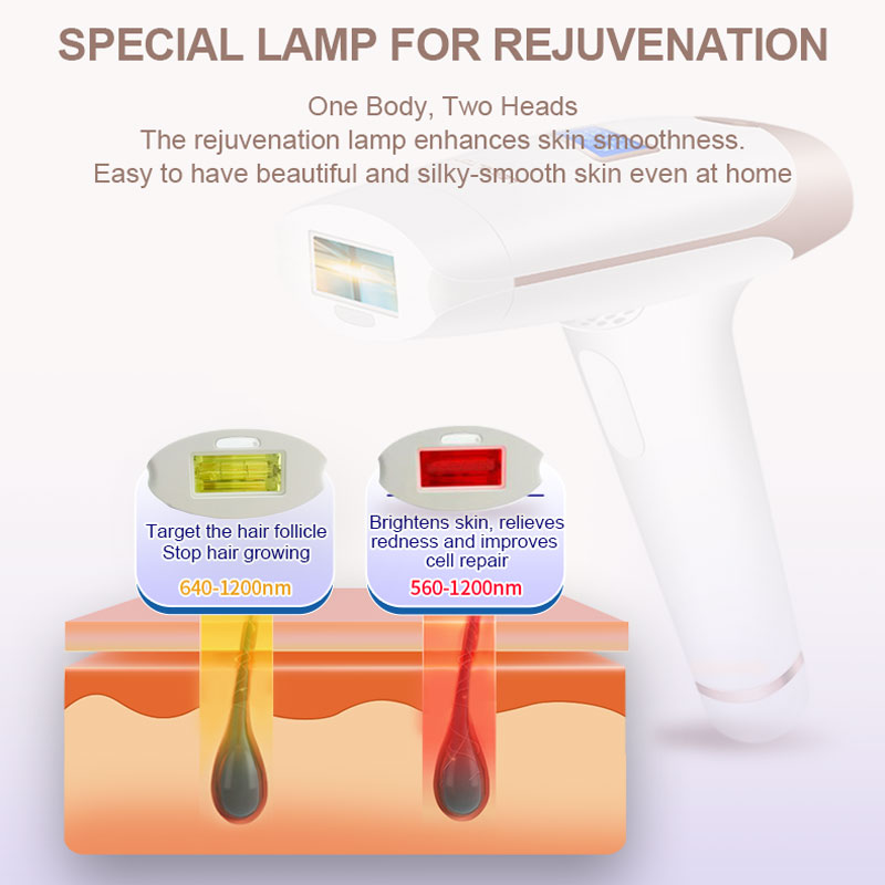 Lescolton 2in1 IPL Epilator Ha - Ipl Hair Removal Handset Permanent 评论和价格